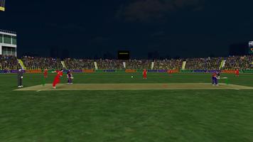 Pakistan T20 cricketspellen 3D screenshot 1