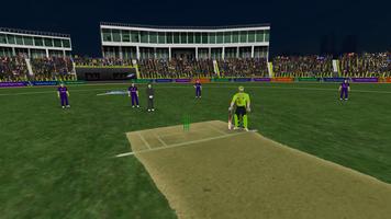 Pakistan T20 Cricket Games 3D Ekran Görüntüsü 2