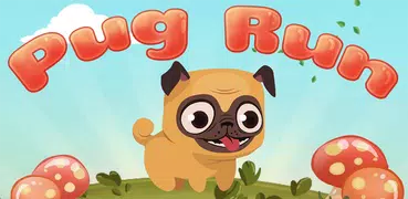 Pug Run
