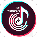 Video Downloader For TicTok Without Watermark
