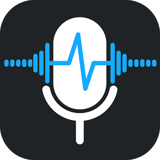 Registratore Vocale Audio MP3