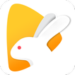 ”Bunny Live - Live Stream