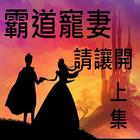 霸道寵妻請讓開(上) simgesi