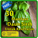 APK 30 Manfaat daun Sirih