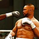 Tiger Boxing Team Revolution : Fight 3D Punch Box APK