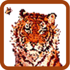 Tiger Pixel Art icon