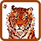 Tiger Pixel Art 아이콘