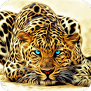 Tiger HD Wallpaper APK