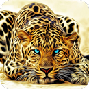 Tiger HD Wallpaper-APK