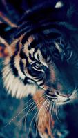 Tiger HD Wallpaper capture d'écran 1