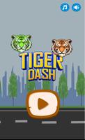 Tiger Dash Adventure poster