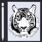 How to Draw Tiger Step by Step Zeichen