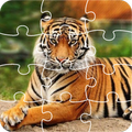 Tiger Jigsaw Puzzle King