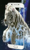 Tiger Fond d'écran animé - Arrière-plans gratuits Affiche