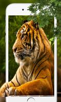 Tiger Live Wallpapers 2018-Latest Tiger Background اسکرین شاٹ 1
