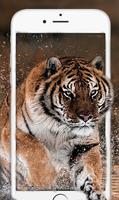 Tiger Fond d'écran animé - Arrière-plans gratuits capture d'écran 2