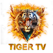 Tiger TV 圖標