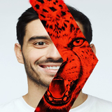 The Face Of The Red Tiger-icoon