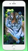 Tiger Wallpaper HD - Animal Wa capture d'écran 3