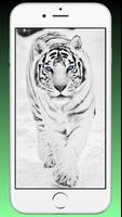 Tiger Wallpaper HD - Animal Wa capture d'écran 1
