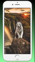Tiger Wallpaper HD - Animal Wa capture d'écran 2