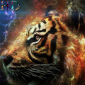 tiger wallpaper