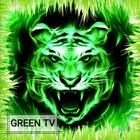 Green Tiger Tv आइकन
