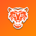 TORa VPN