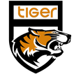 Tiger VPN Networks