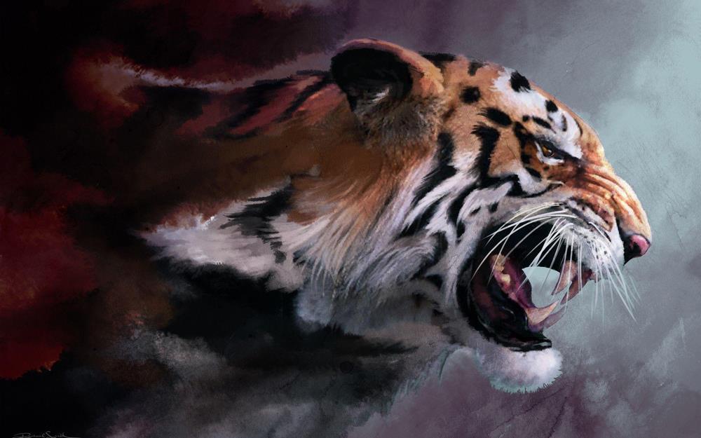 Amazing Tiger Wallpaper 4k 2019 For Android Apk Download
