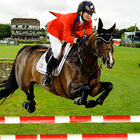 Horse Show Jumping Champions 2 icono