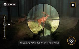 Real Sniper Deer Hunting : FPS poster