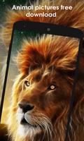 Rivrin-wallpapers screenshot 1