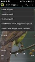 Kicau Besetan Cucak Jenggot Hd capture d'écran 2