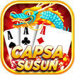 Capsa Susun