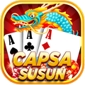 Capsa Susun