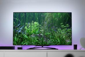 3D Aquarium Live Wallpaper TV Screenshot 3
