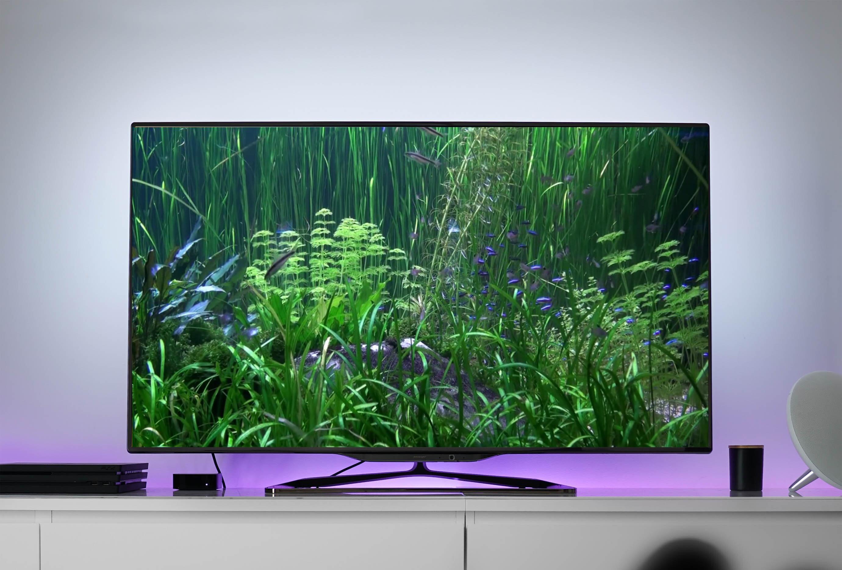 3d Aquarium Live Wallpaper Tv For Android Apk Download