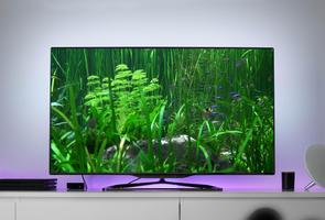 3D Aquarium Live Wallpaper TV Affiche
