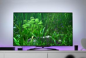 3D Aquarium Live Wallpaper TV capture d'écran 2
