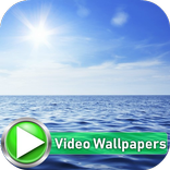Ocean Video Wallpapers