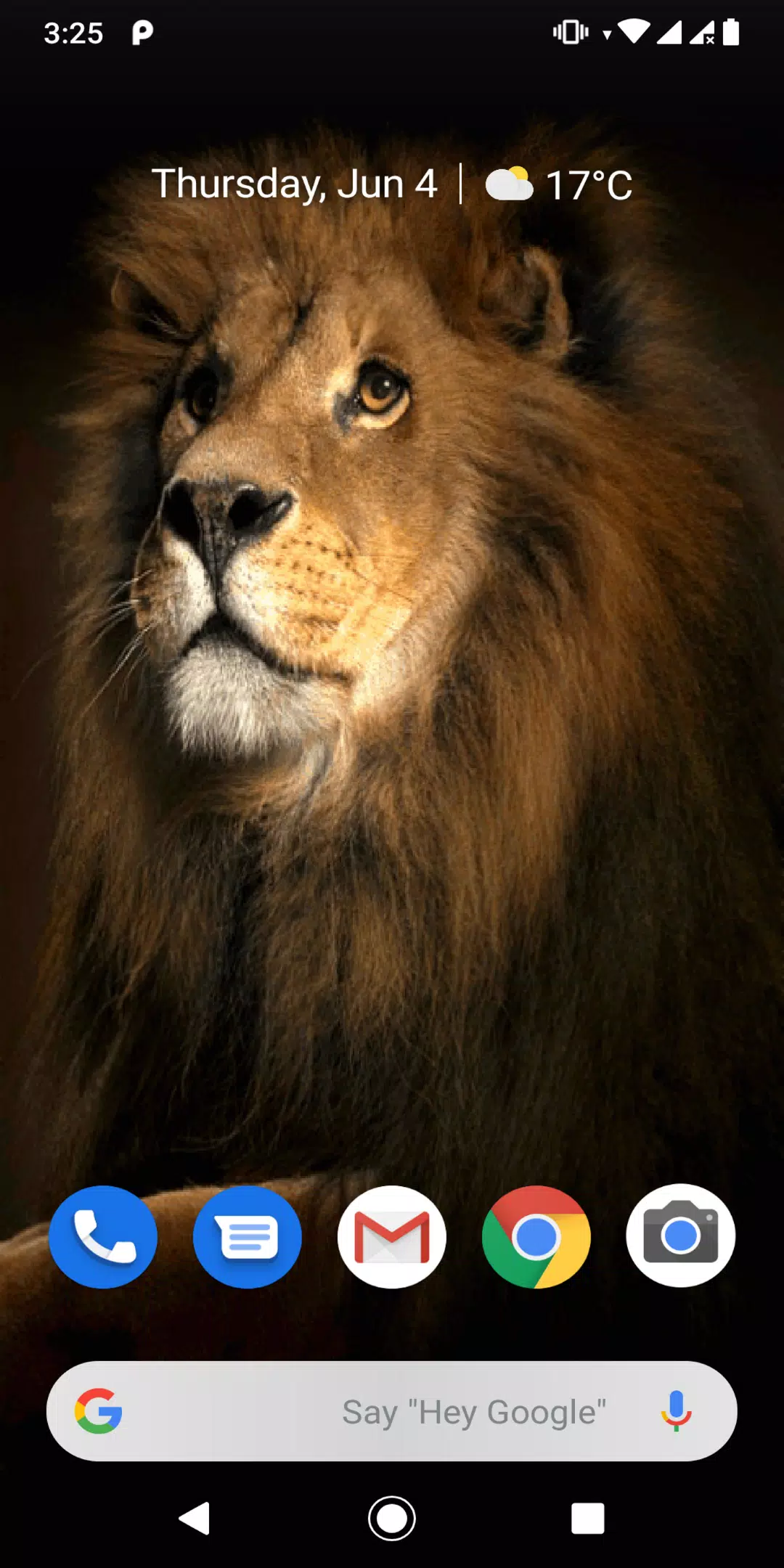 Golden Lion Gif Live Wallpaper For Android Apk Download Golden Lion Gif Live Wallpaper For Android Apk Download