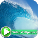 Waves at Beach Video Wallpapers APK