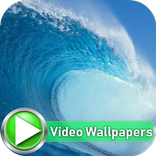 Waves at Beach Video Wallpapers