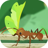 Ant Kingdom - 3D game