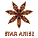 Star Anise APK