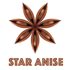Star Anish icon