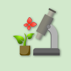 Belajar Biologi SMP icon