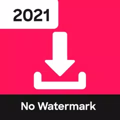 Video Downloader for TikTok No Watermark - TikMate