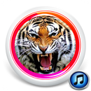 Suara Harimau MP3 Offline (Terbaru) APK